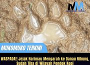WASPADA! Jejak Harimau di Pondok Kopi mengarah Danau nibung