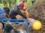 HEBOH!!! Penemuan mayat di ladang dalam keadaan Telungkup