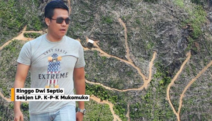Publik Pertanyakan Terkait Ketimpangan Penegakan Hukum ke Para Terduga Pelaku Perambah Hutan di Mukomuko