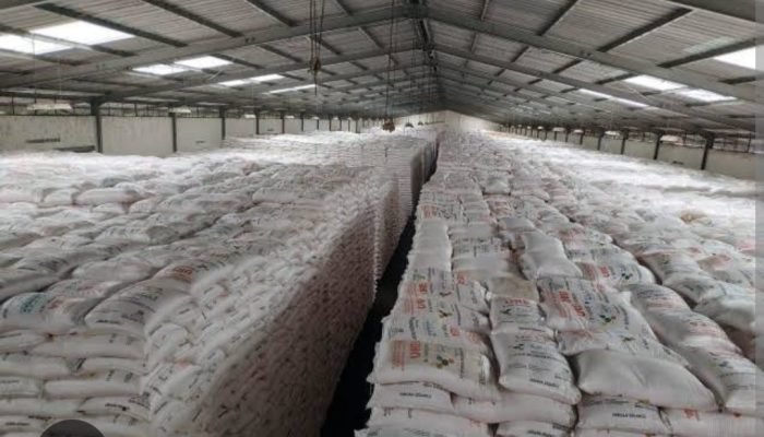 SKANDAL PUPUK SUBSIDI MUKOMUKO: DIDUGA DIKUASAI OKNUM PENGUSAHA SAWIT RATUSAN HEKTARE Penggiat Sosial: “Ini Perampokan Terstruktur, Pemda Jangan Tutup Mata”