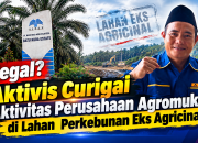 Ilegal? Aktivis Curigai Aktivitas Perusahaan Agromuko di Lahan  Perkebunan Eks Agricinal